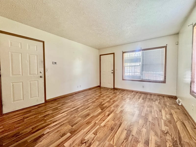 Living room and entry area