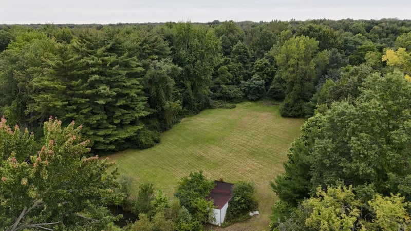 Rear clearing and tree line