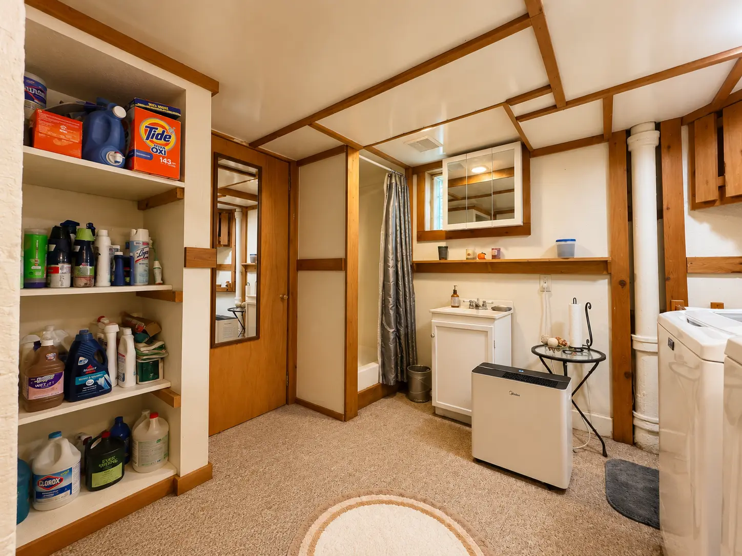 Basement laundry and utility area at 3718 Revere Drive with built-in shelving and a shower
